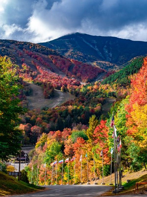 colorful fall foliage